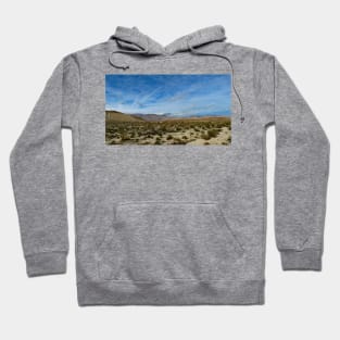 Anza Borrego Desert State Park Hoodie